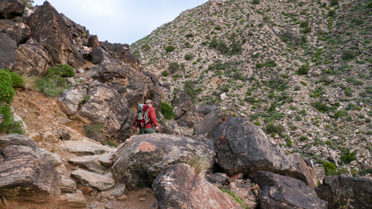 Ryan Mountain Trail