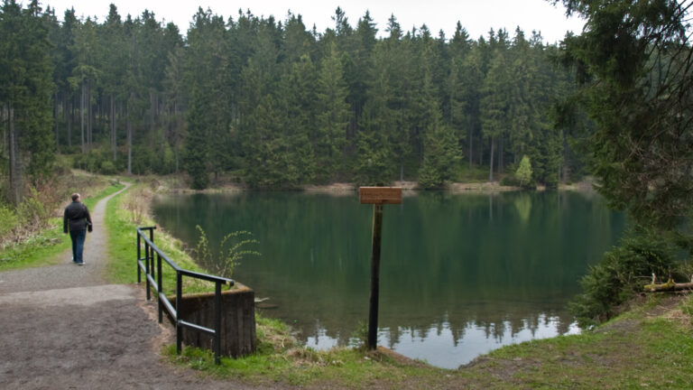 Geocachen in Hahnenklee – Rundwanderung im Harz