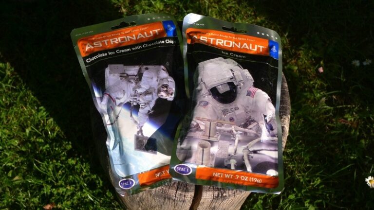 Astronauten Eis für Unterwegs – Astronaut Ice Cream