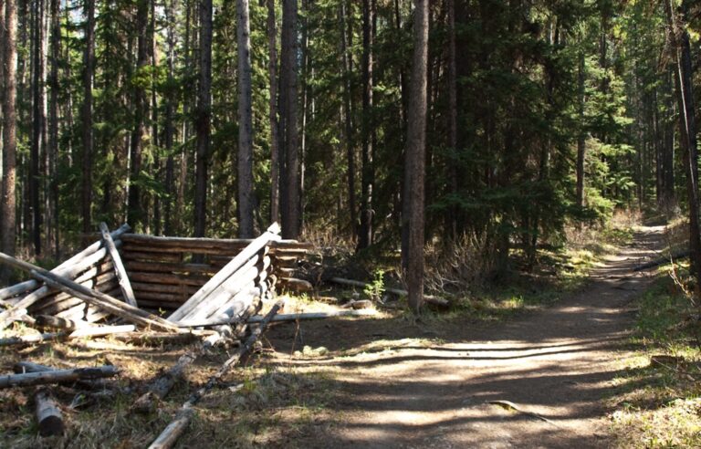 Castle Lookout Trail – Banff National Park in Alberta, Kanada