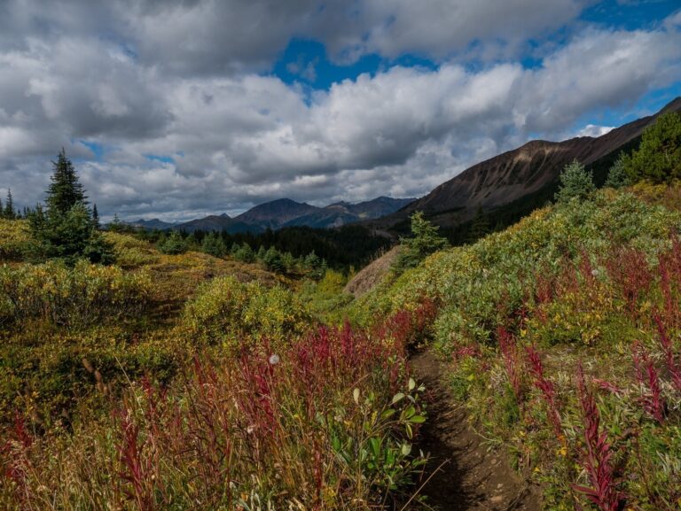 Opal-Hills Trail – Jasper National Park in Alberta, Canada