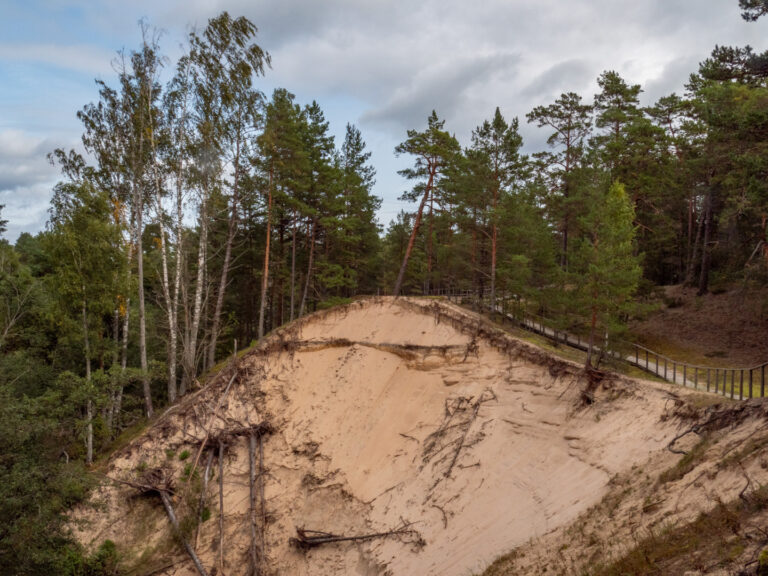 Walk to the Baltā kāpa (white dune)