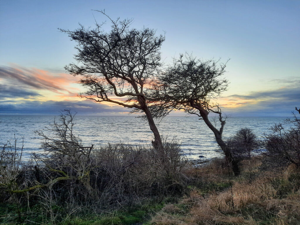 Strand Staberhuk