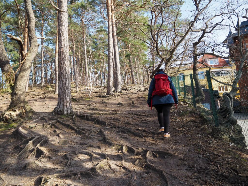 Aufstieg zum Großmutterfelsen