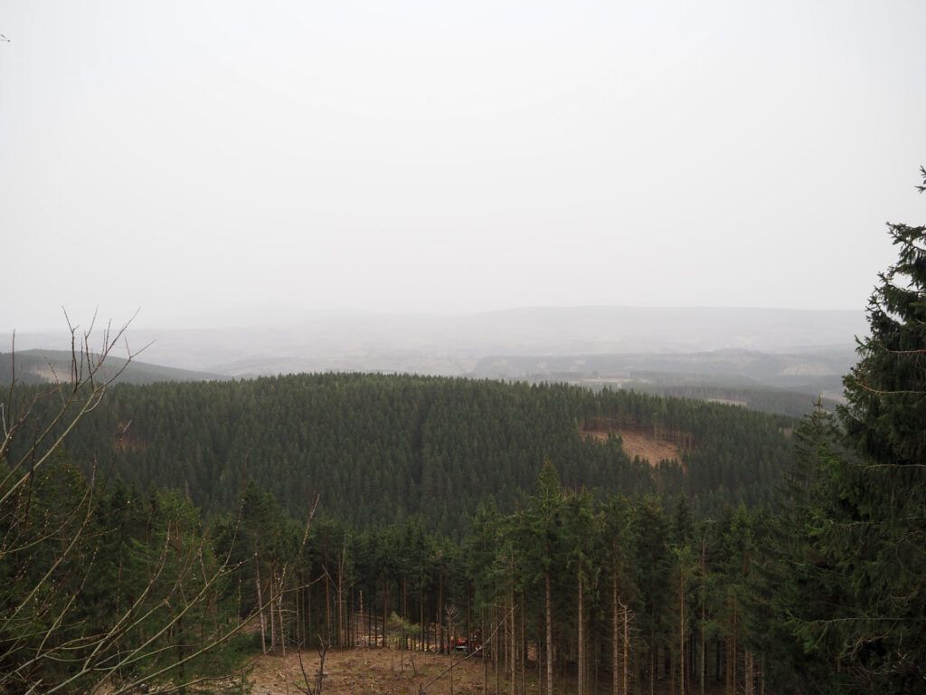 Aussicht über den Harz