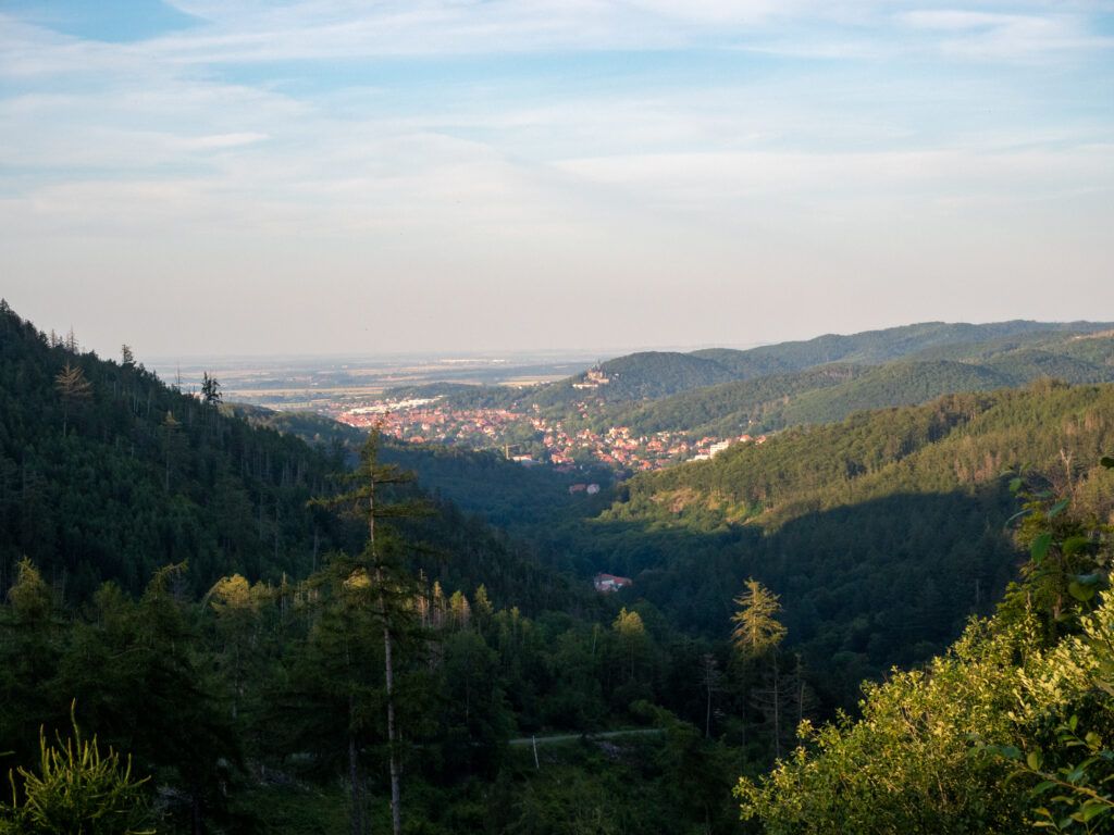 Blick auf Wernigerode