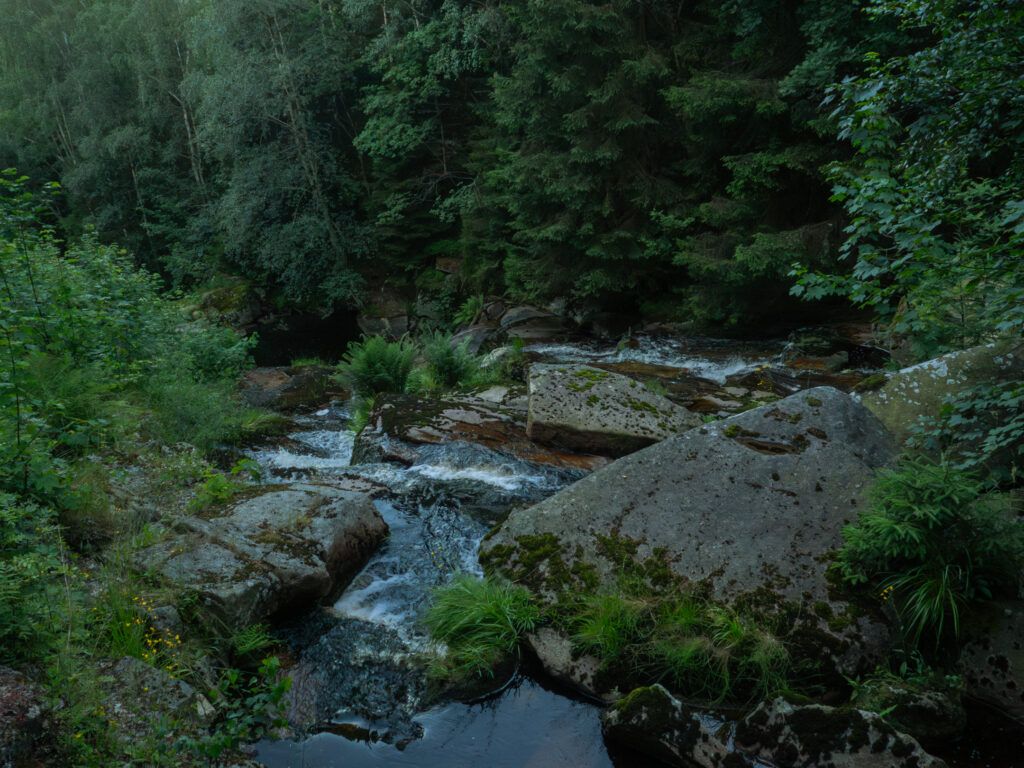 An der Steinernen Renne