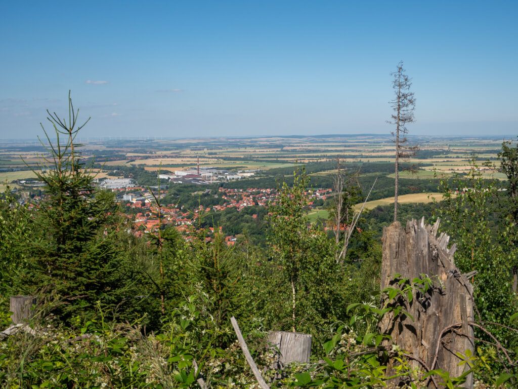 Blick auf Ilsenburg