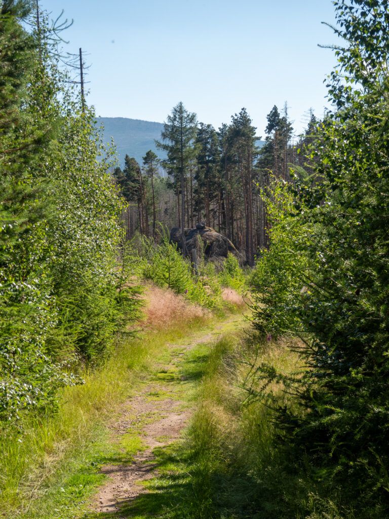 Auf dem Weg zum Froschfelsen