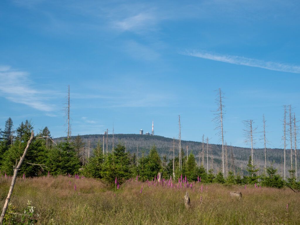 Blick auf den Brocken