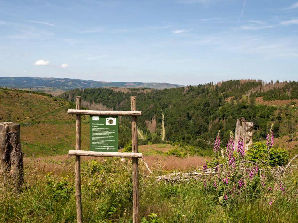 Der Harz im Umbruch