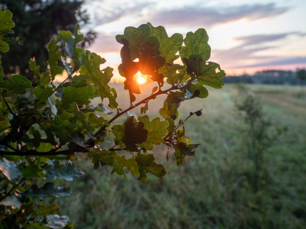 Sonnenaufgang