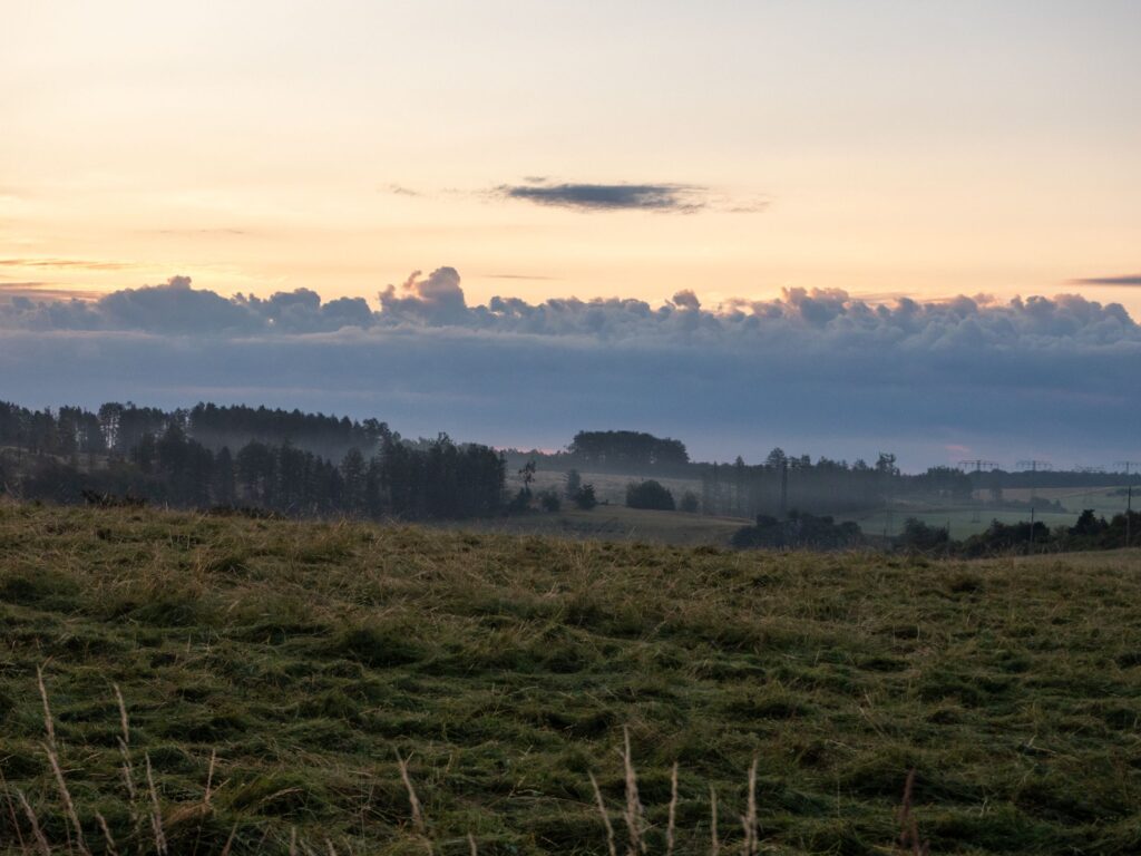 Nebelschwaden am morgen