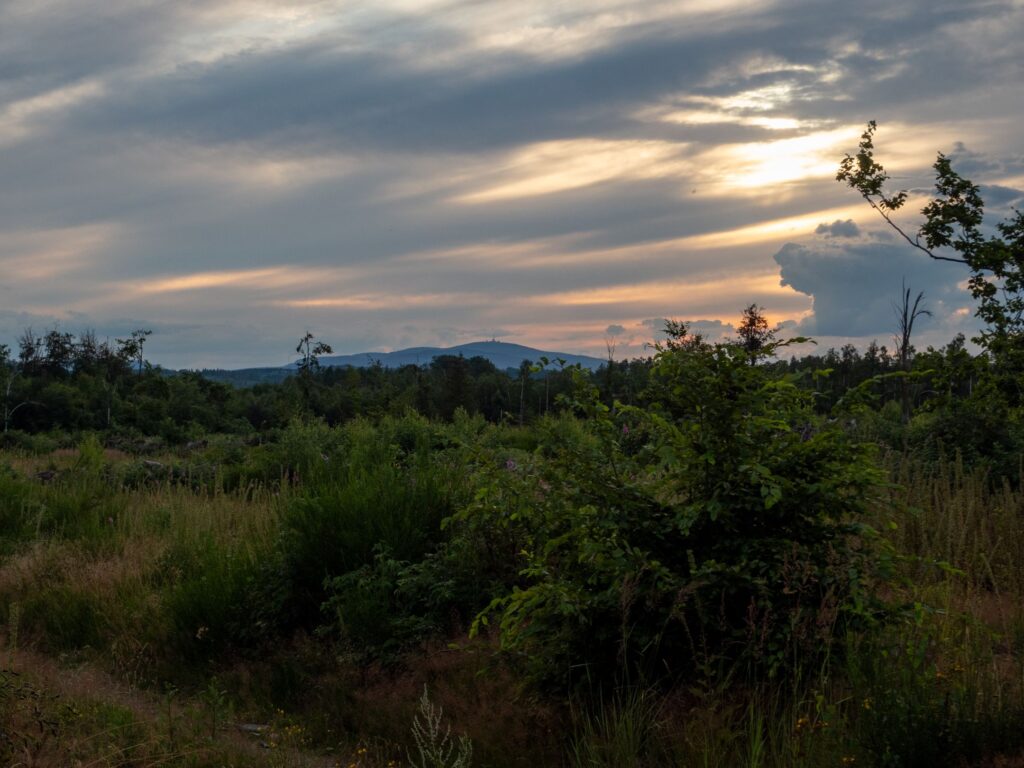 Auf dem Weg zum boesen Kleef