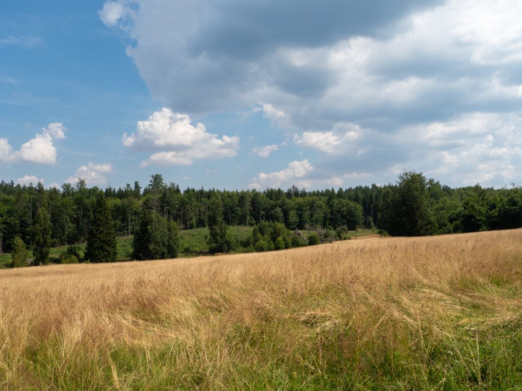 Echowiese Allrode