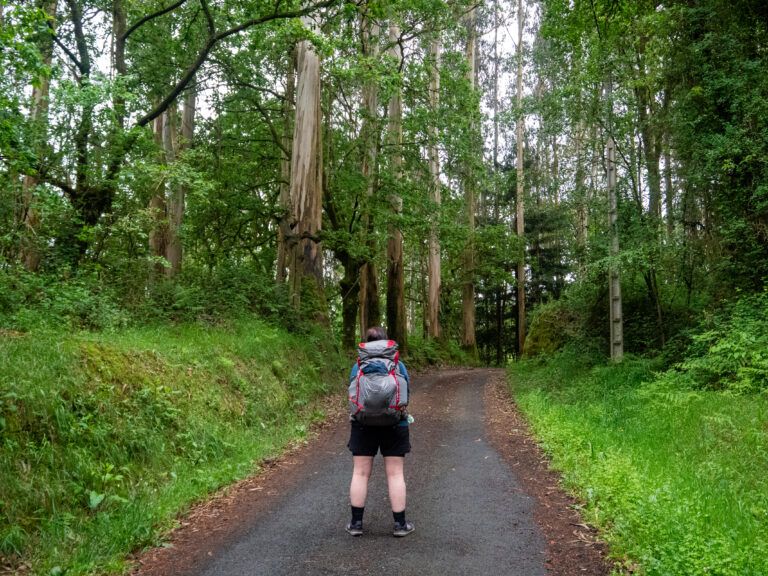 Camino Primitivo – Section 13 – Melide to Arzúa