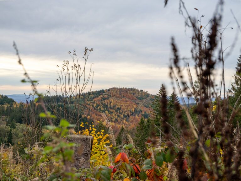 Wildemanner Wandernadel – 23 km Rundwanderung mit 4 Stempelstellen